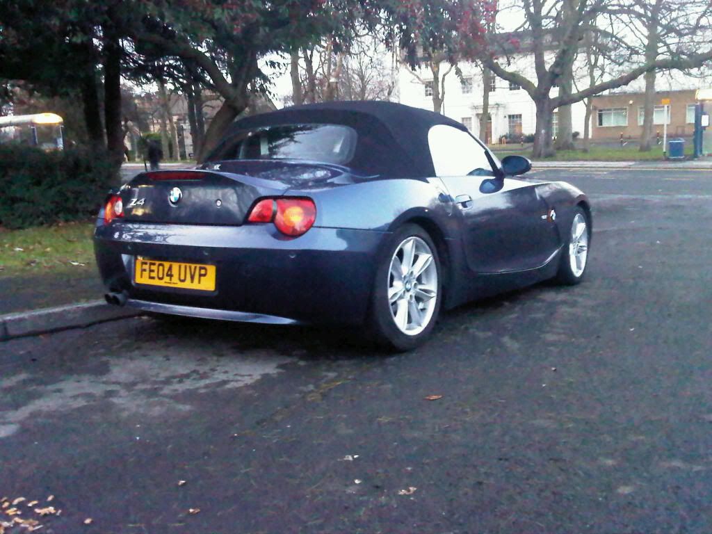 z44.jpg