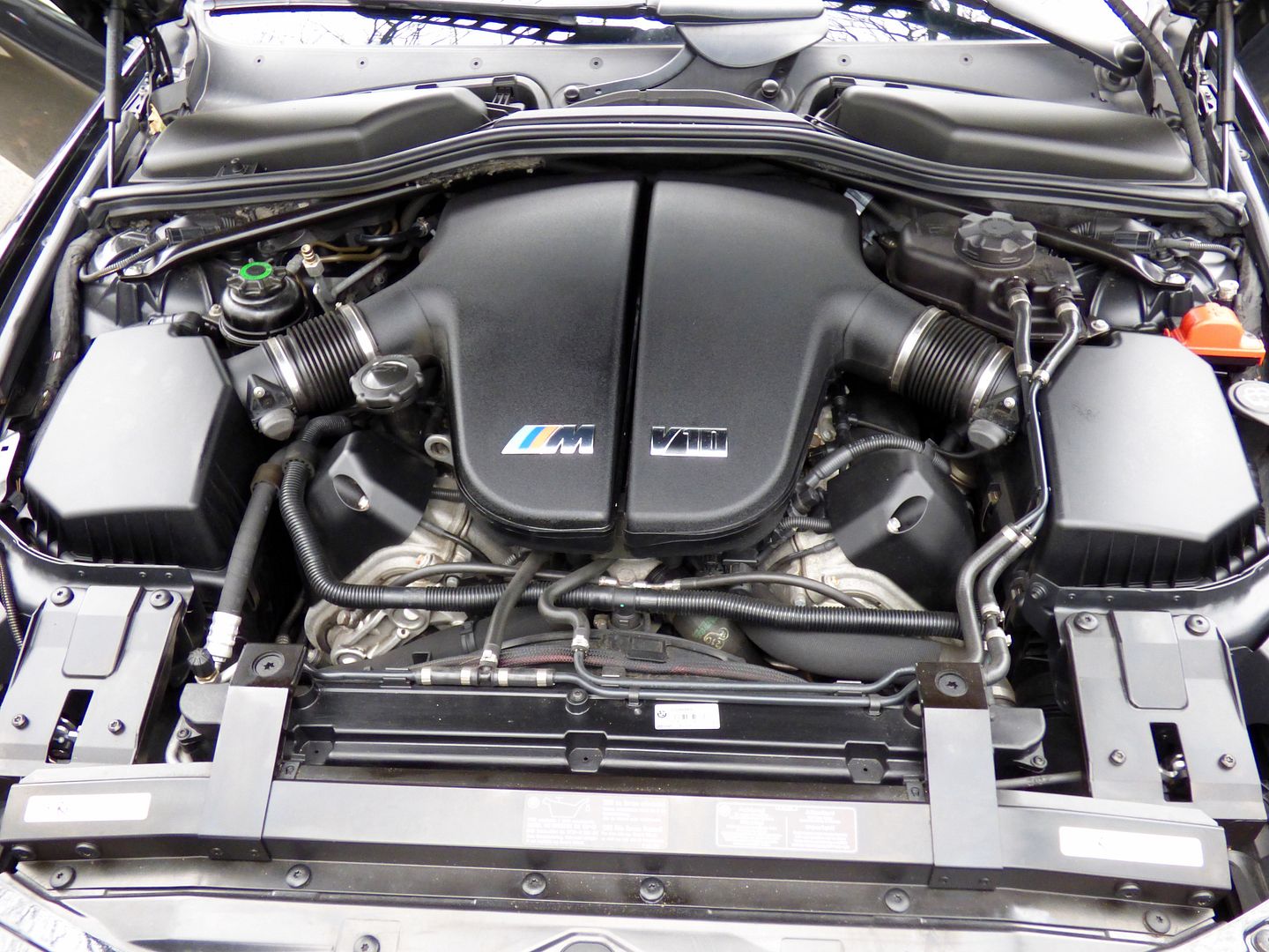 P1020951_zps0ebgkuns.jpg