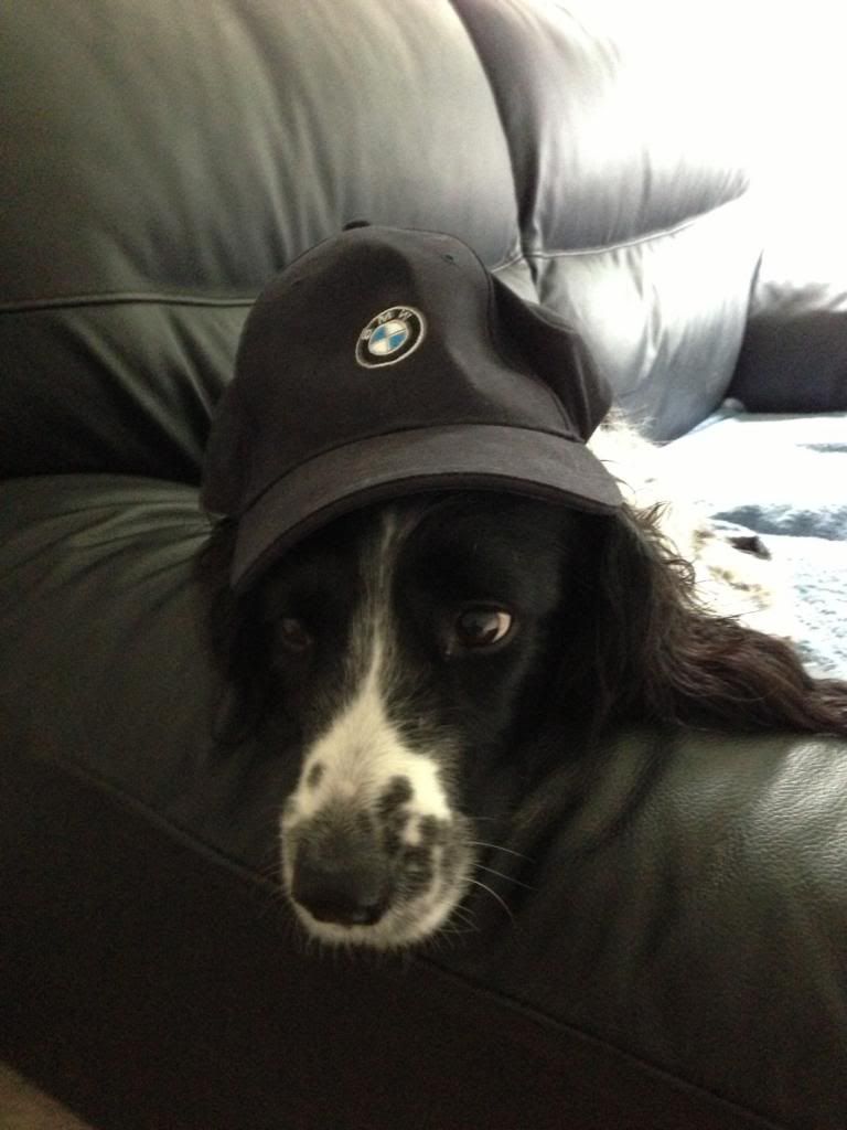 hat_zpsbb6c6239.jpg