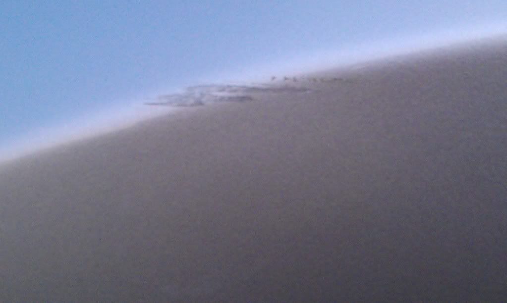 IMAG0114.jpg