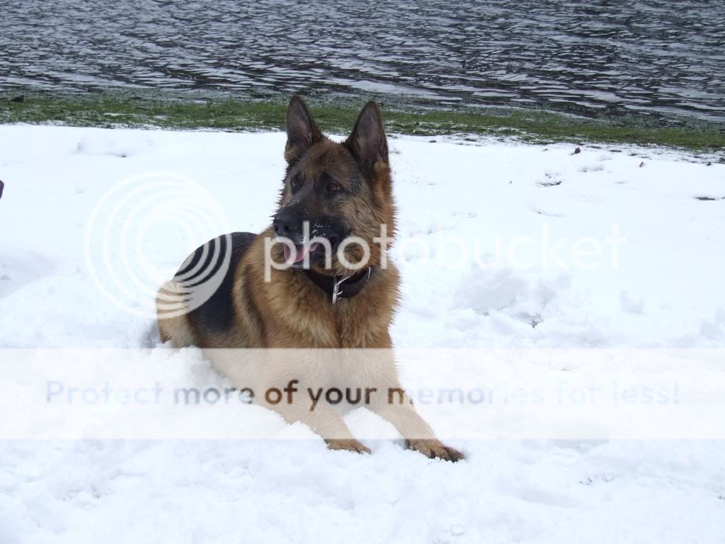 Stanatderwent021_zps1d1eba49.jpg