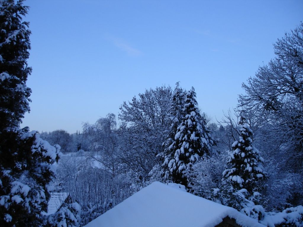 DSC01089-Copy_zps00cb6a83.jpg