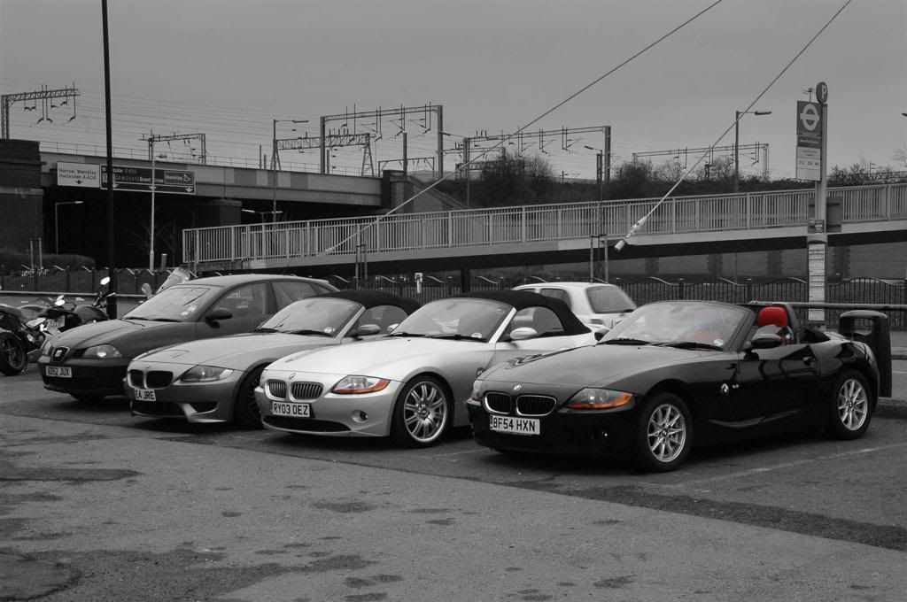 DSC_0008Large.jpg