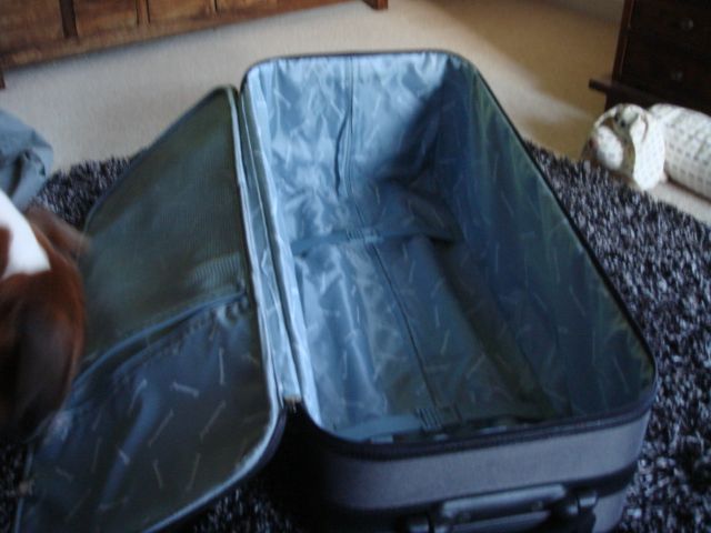roadsterbags3_zpsf0a76c24.jpg