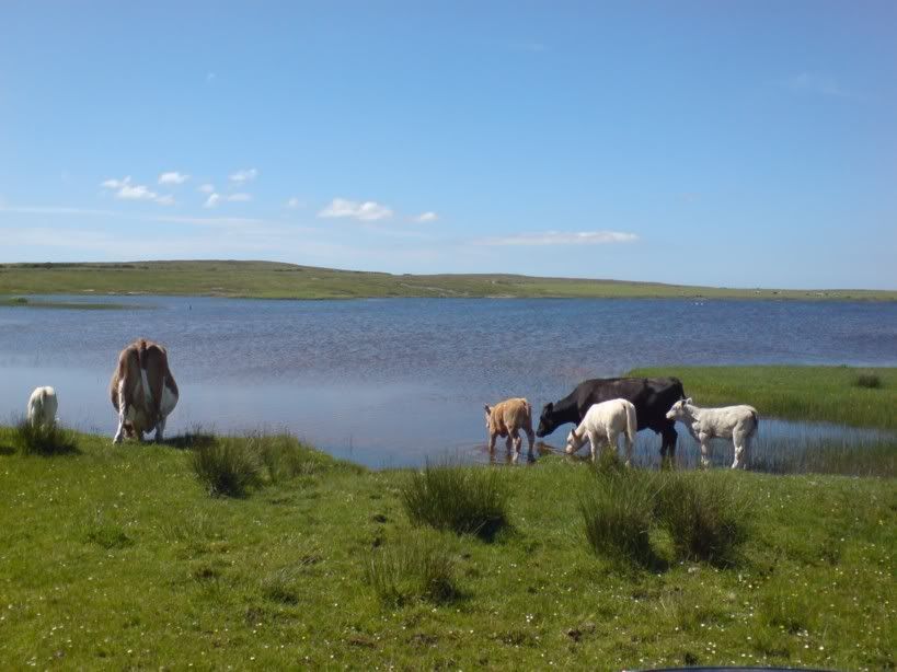 islay15.jpg