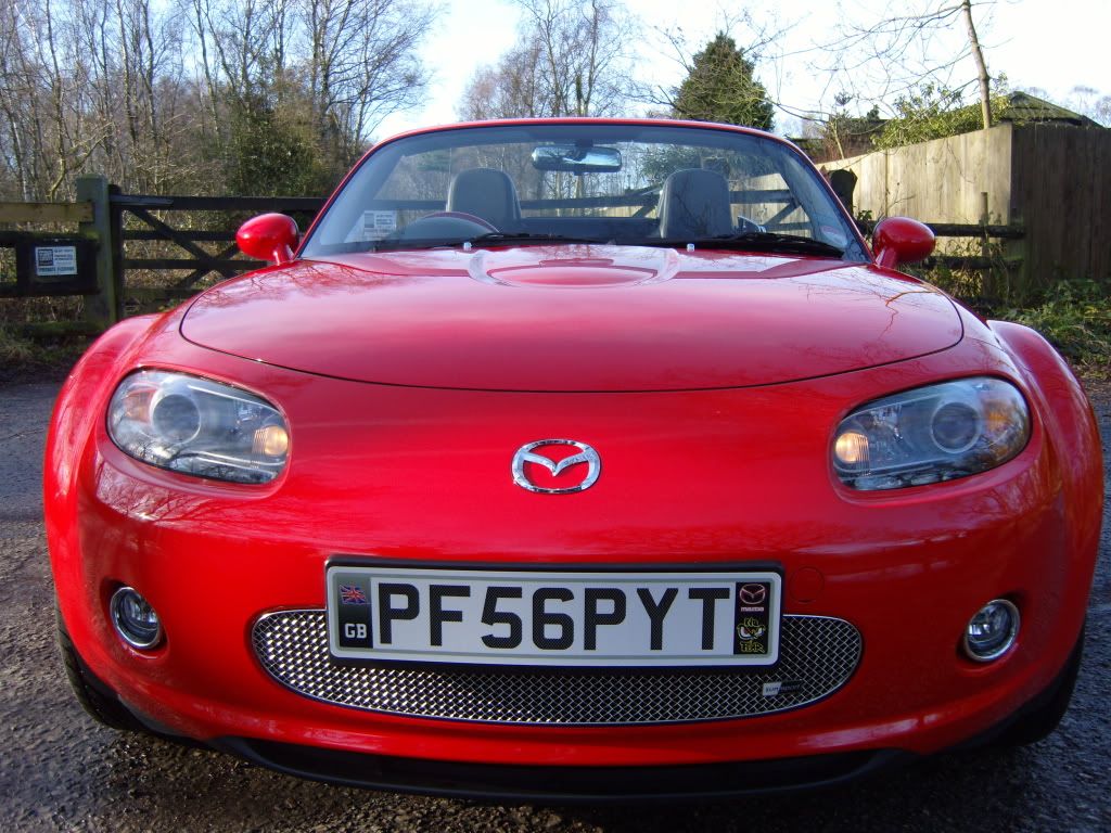 SS100350_zps70614bd6.jpg