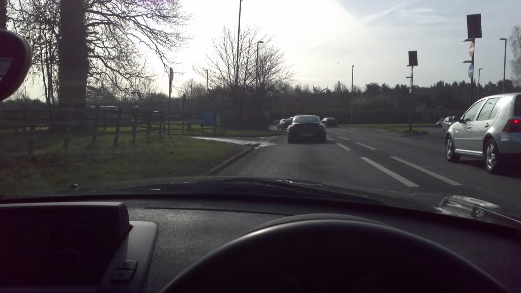 Z4MSPOTTED.jpg