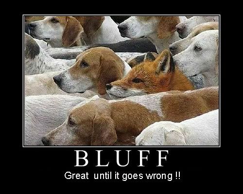 Bluffcopy.jpg
