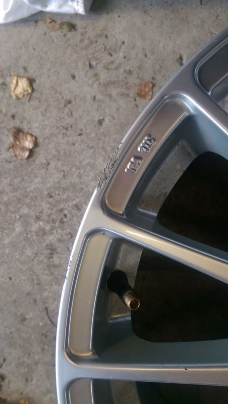IMAG0380.jpg