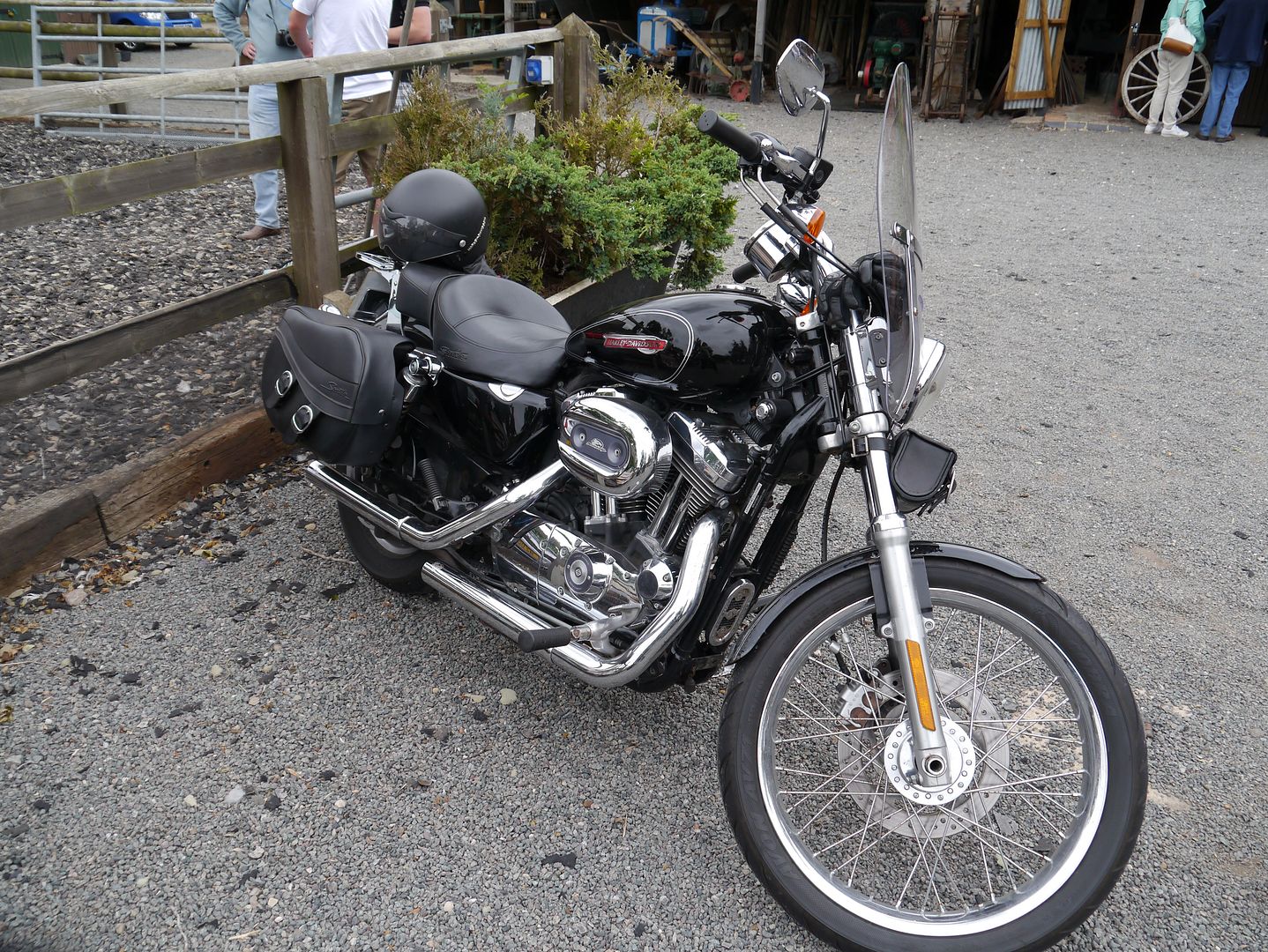 P1030600_zpspyc46zwc.jpg