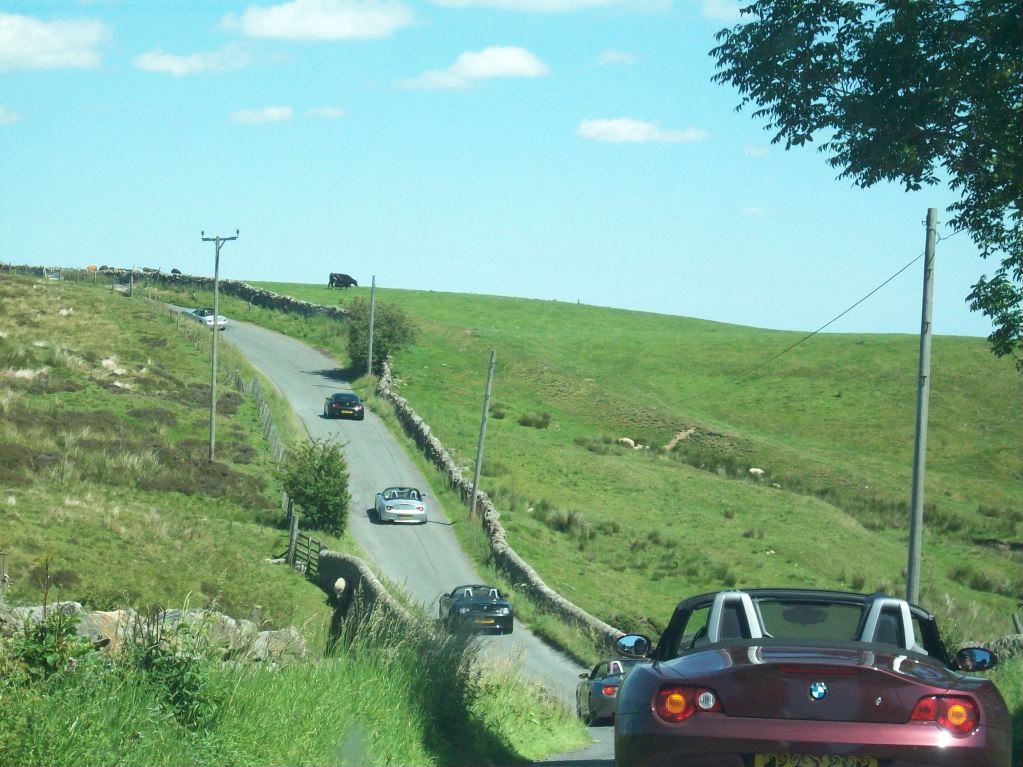 100b5240.jpg
