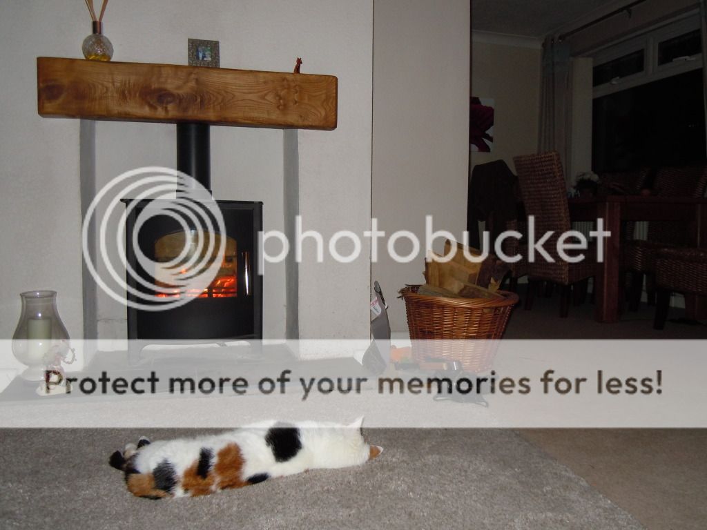 kitty001.jpg