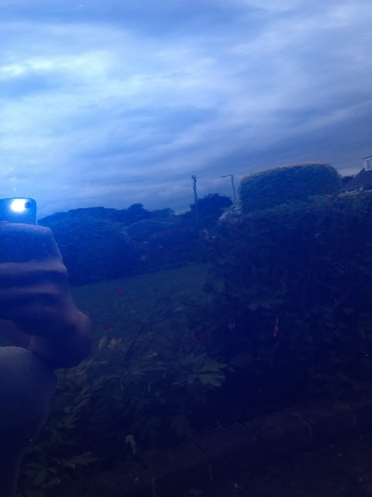 null_zps4cf55d9c.jpg