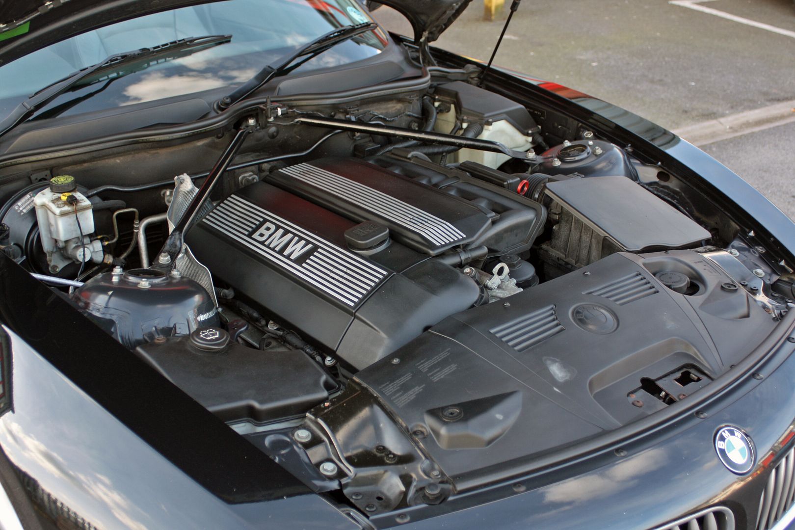 Z4%209.jpg
