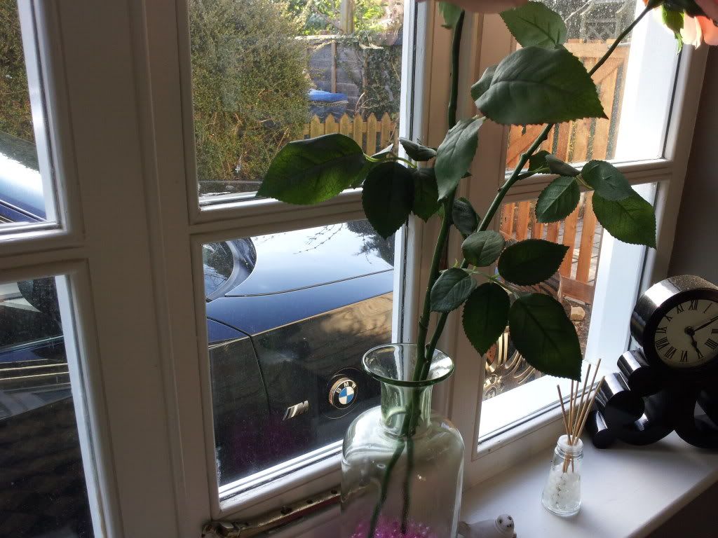 2012-03-20160618.jpg