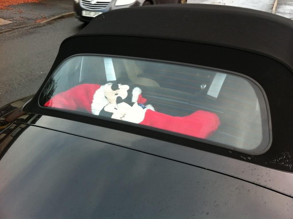 car-2.jpg