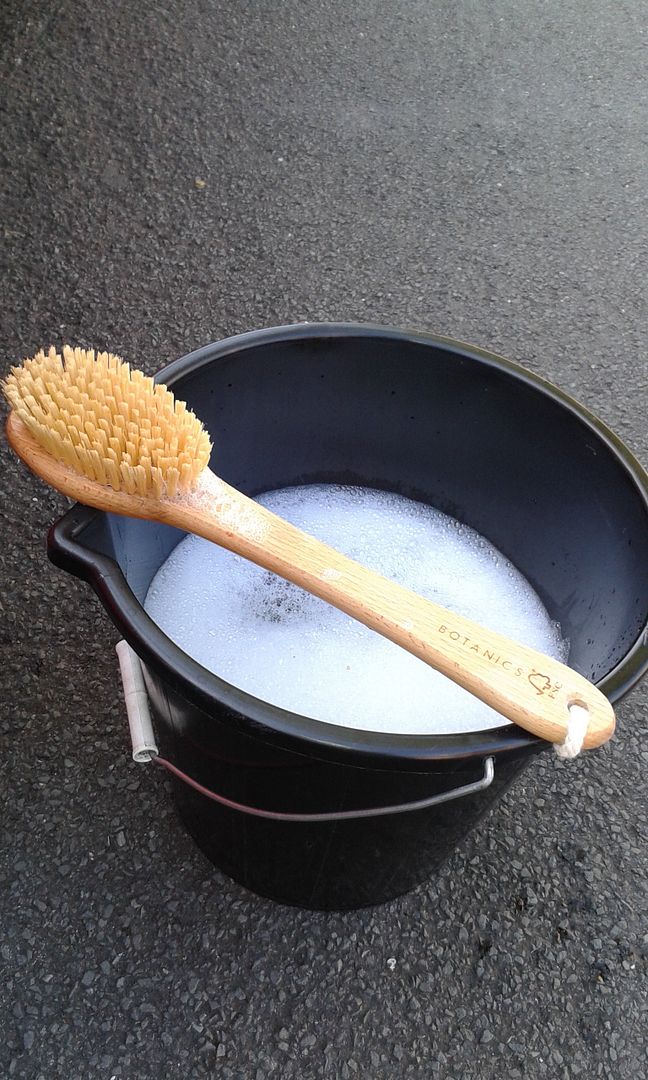 bath%20brush_zps0wmcxtn3.jpg