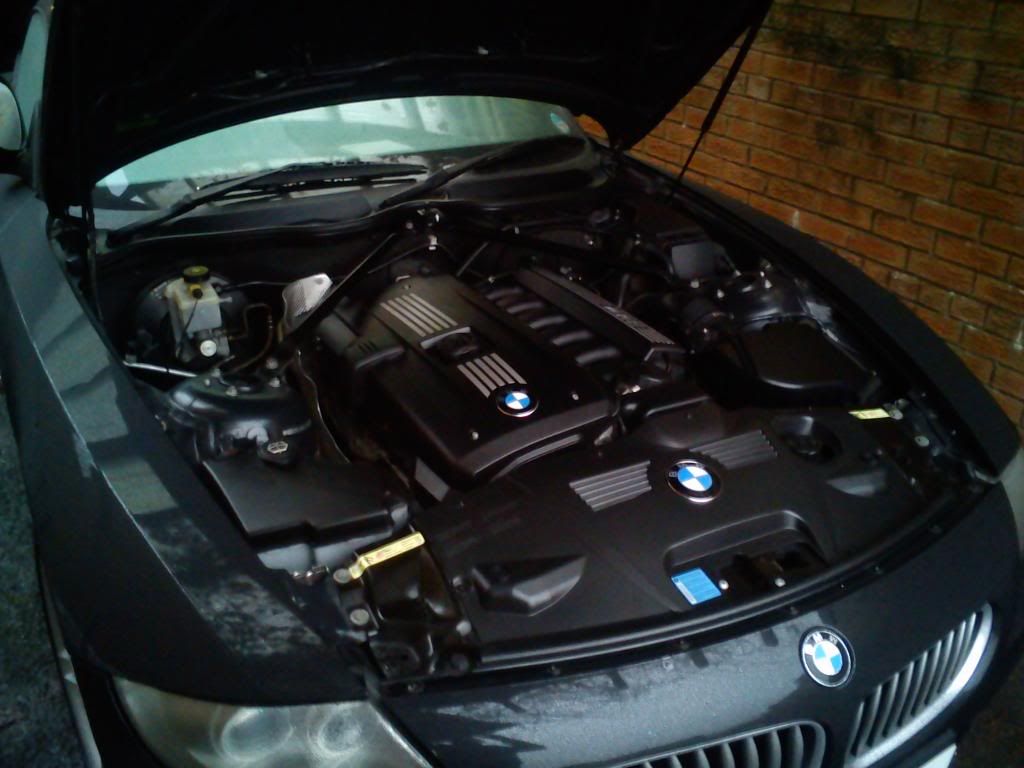Zengine007_zps3a559598.jpg