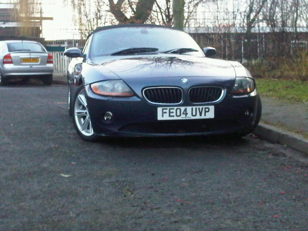 z41.jpg