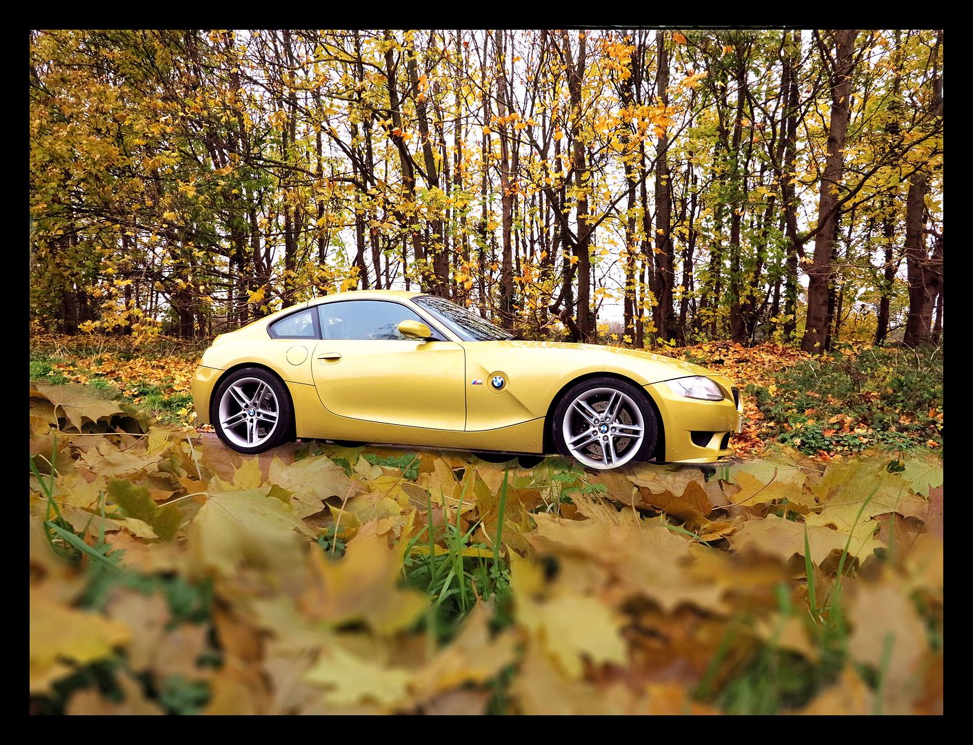 Autumn%20Z4MC%20small_zpsxj0dktkc.jpg
