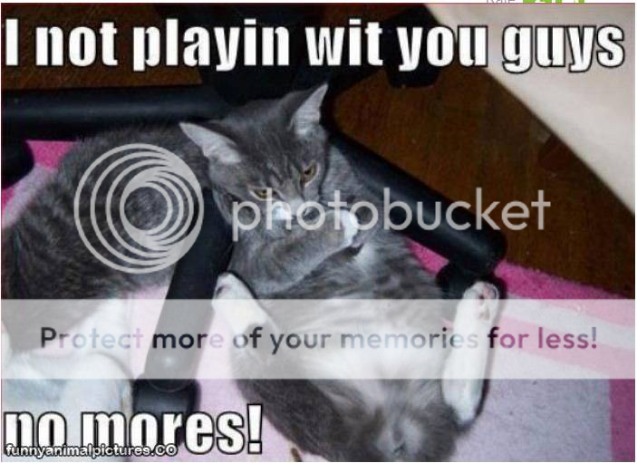 Youguys.png
