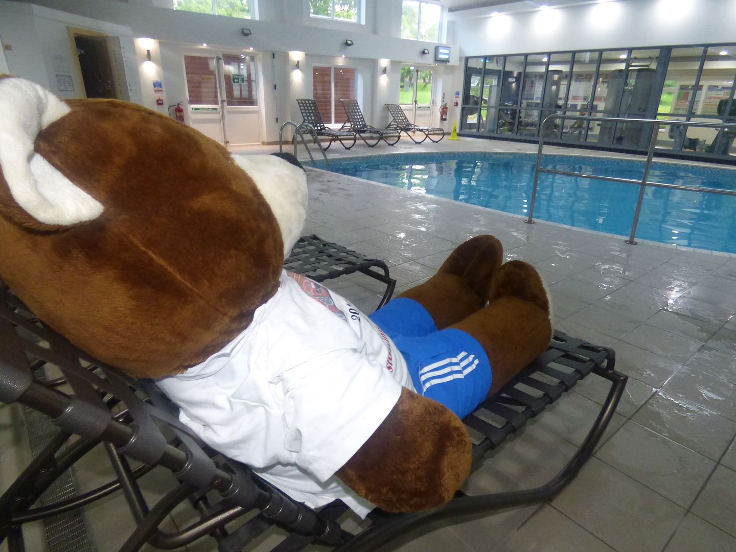 PoolLounger_zpsvxzczdgt.jpg