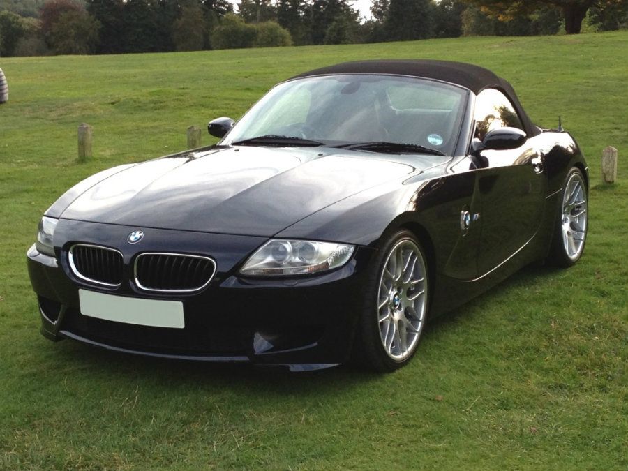 Z4Clumber3.jpg