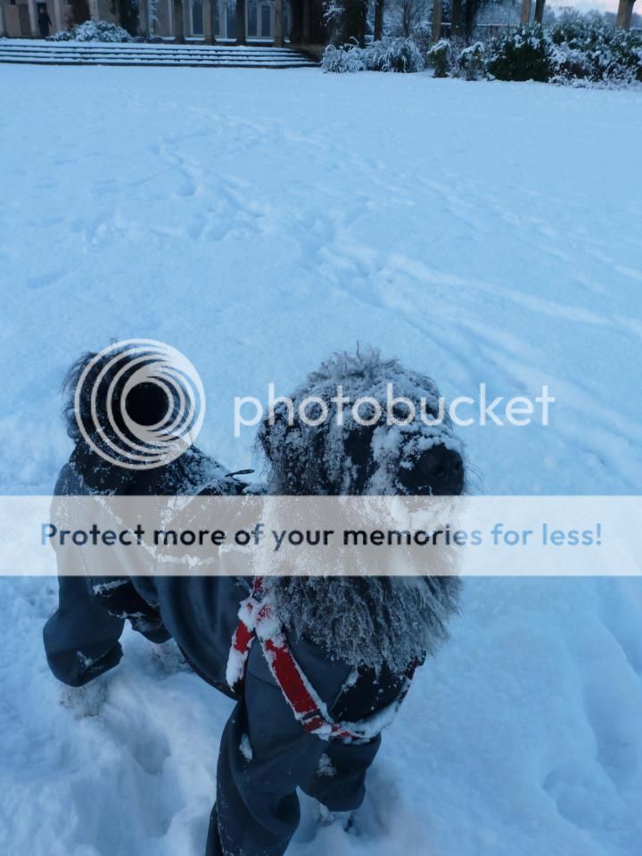 Ruby-snow2_zps47b4e513.jpg