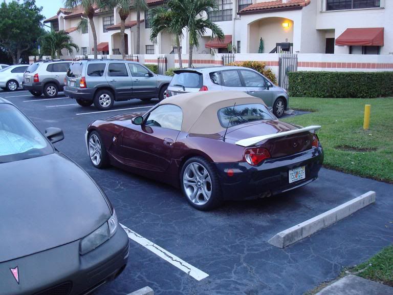 DSC08478.jpg