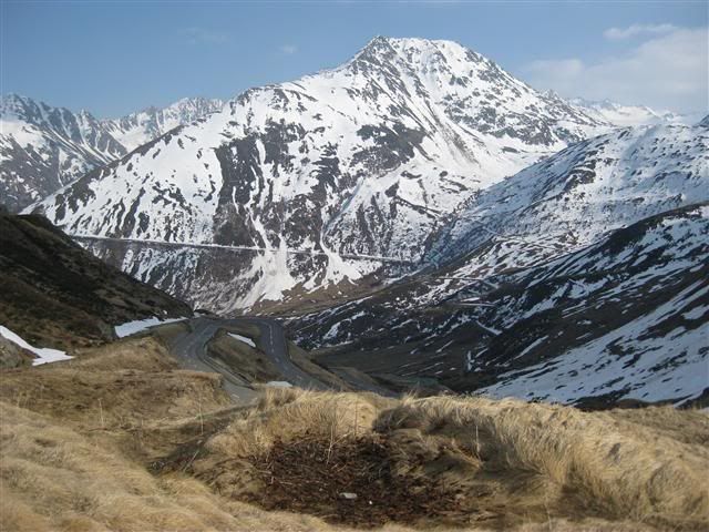 IMG8.jpg