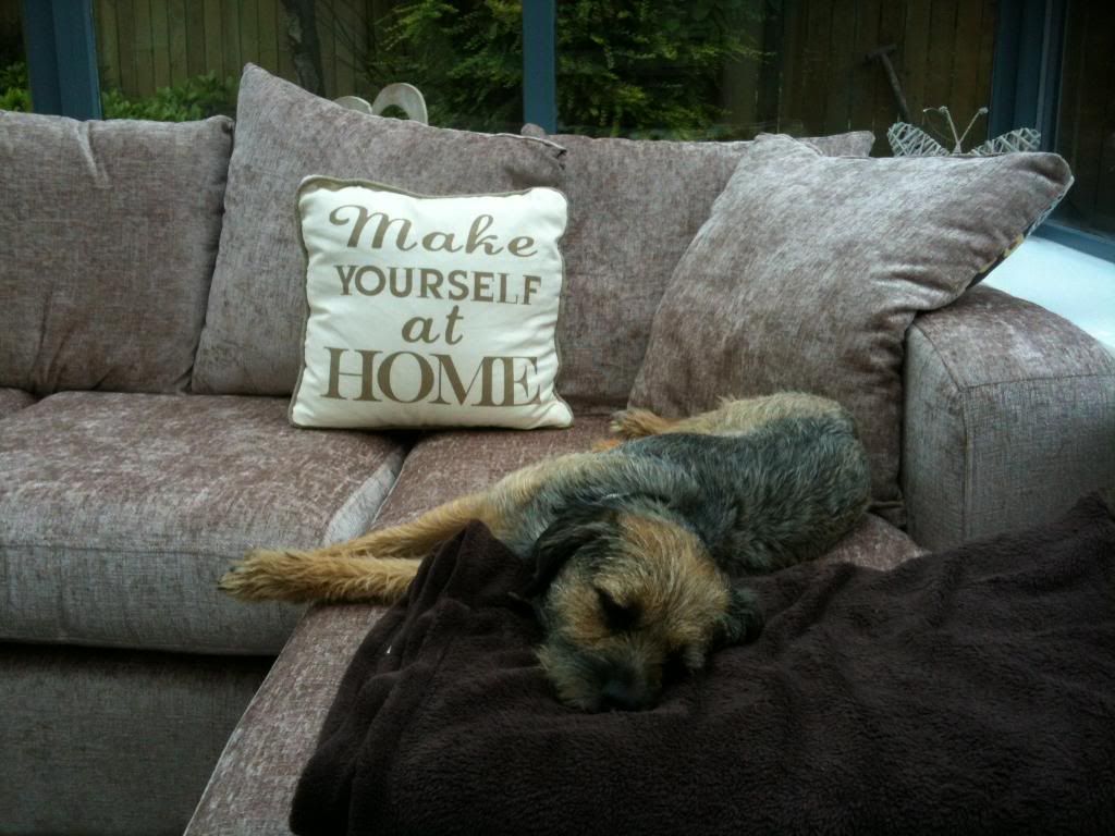 Newsofa008_zpseff8f650.jpg