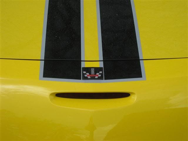 IMG26.jpg