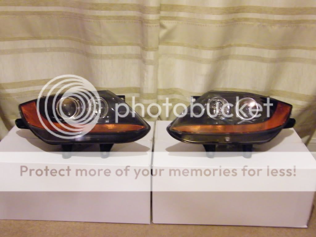 DSCF6154.jpg