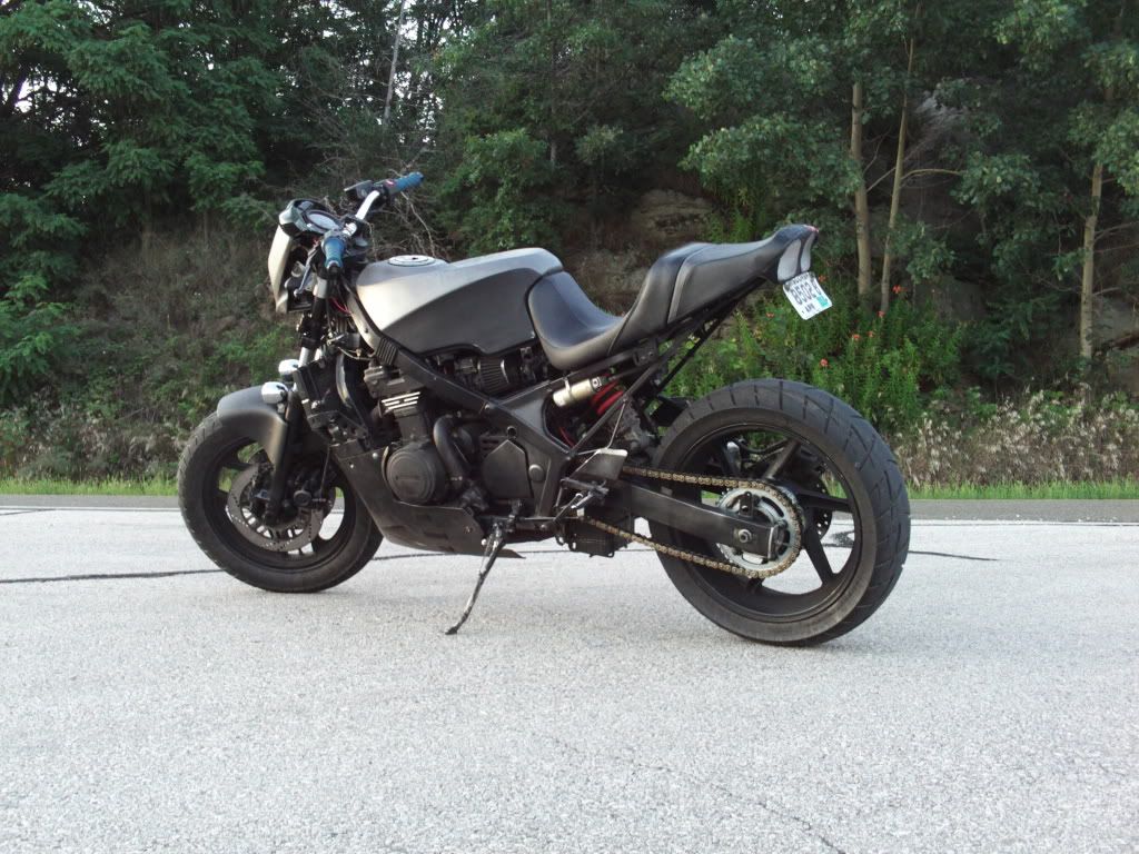 ZedLateSummer20099.jpg