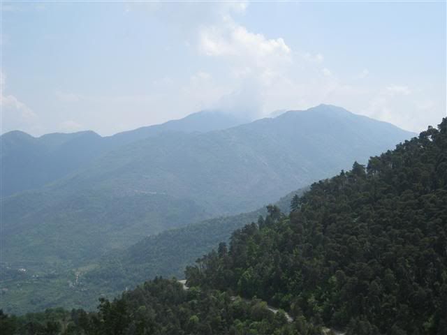 IMG22.jpg