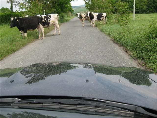 IMG16.jpg