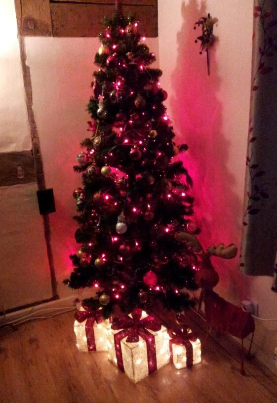 2012-12-13154537-1.jpg