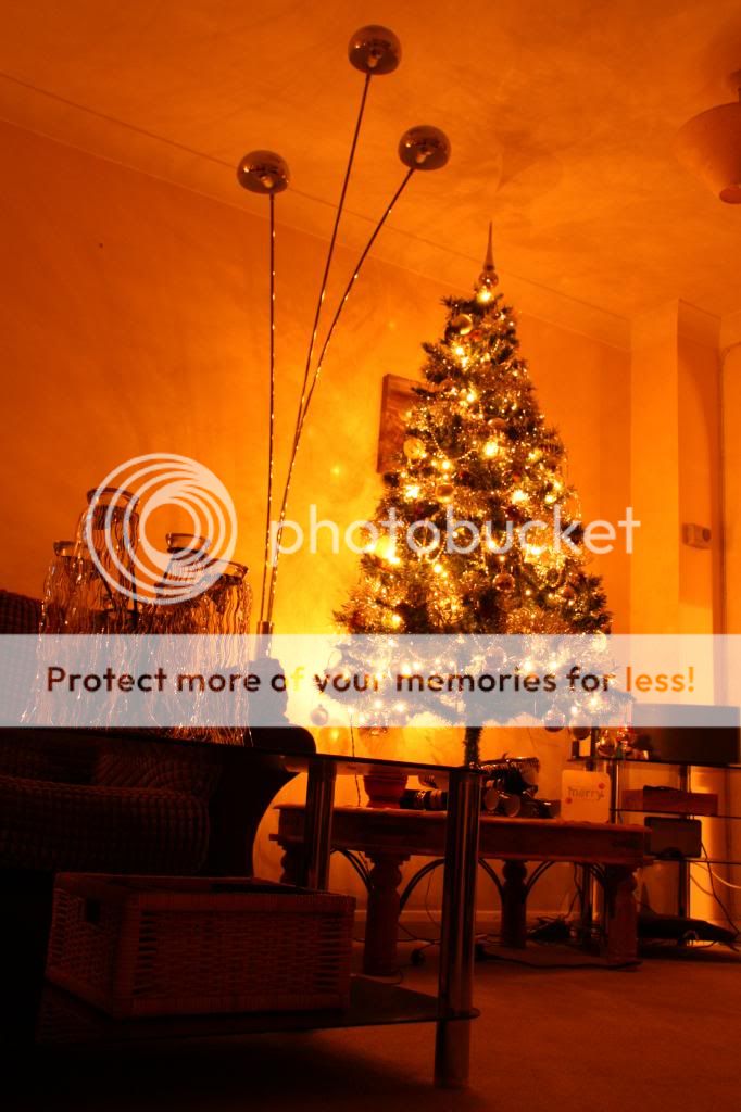 IMG_3239_zps51c594ca.jpg