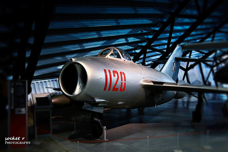 IMG_2839.gif