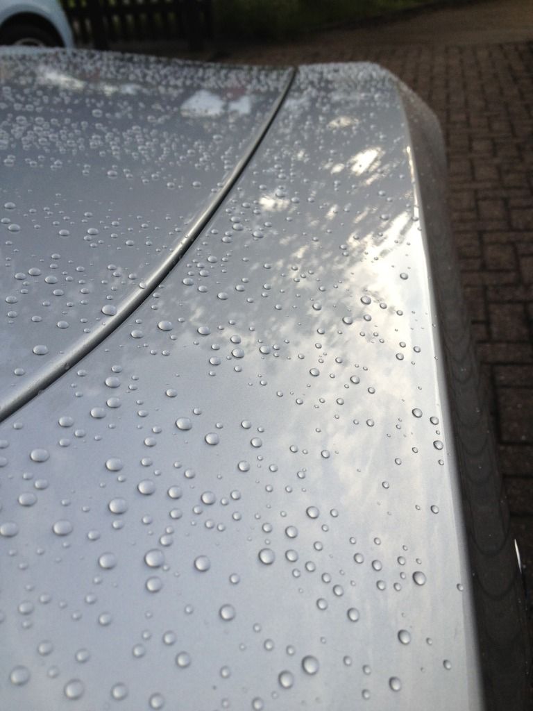 221e748d.jpg