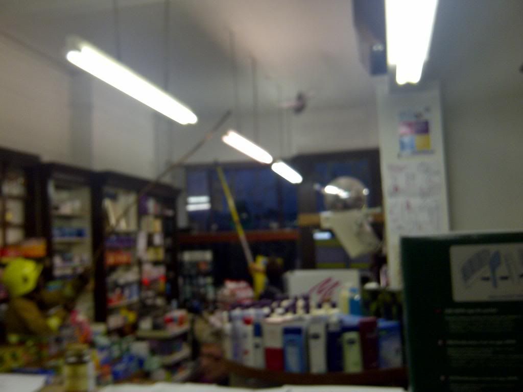 pigeon_zpsed8c246a.jpg