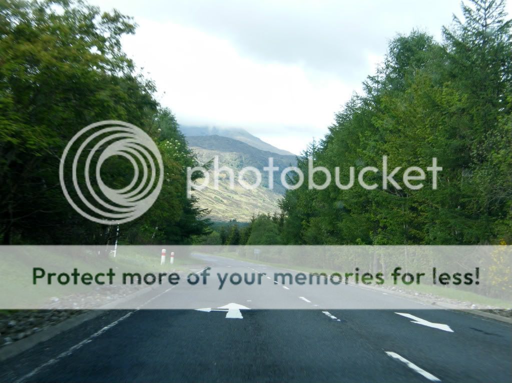 DSCF5203.jpg