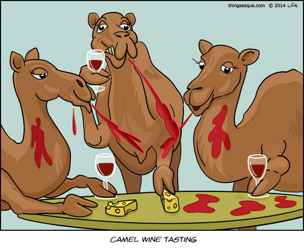 camel-wine-tasting.jpg